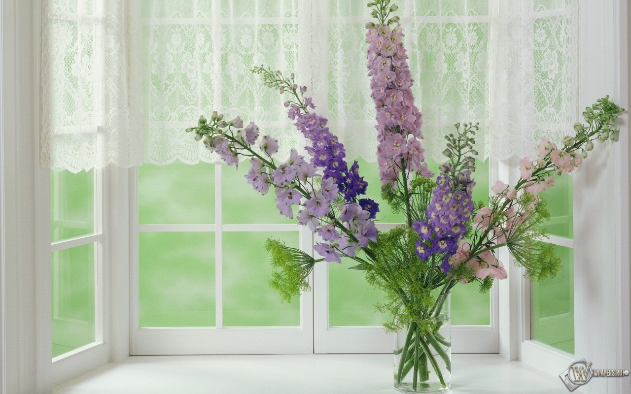 цветы на окне 1280x800