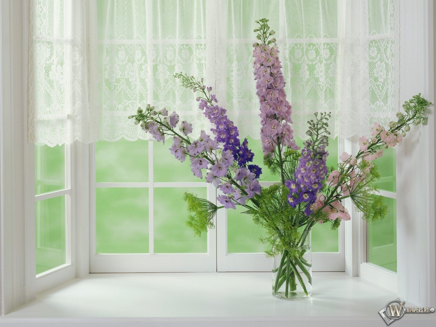цветы на окне 1400x1050