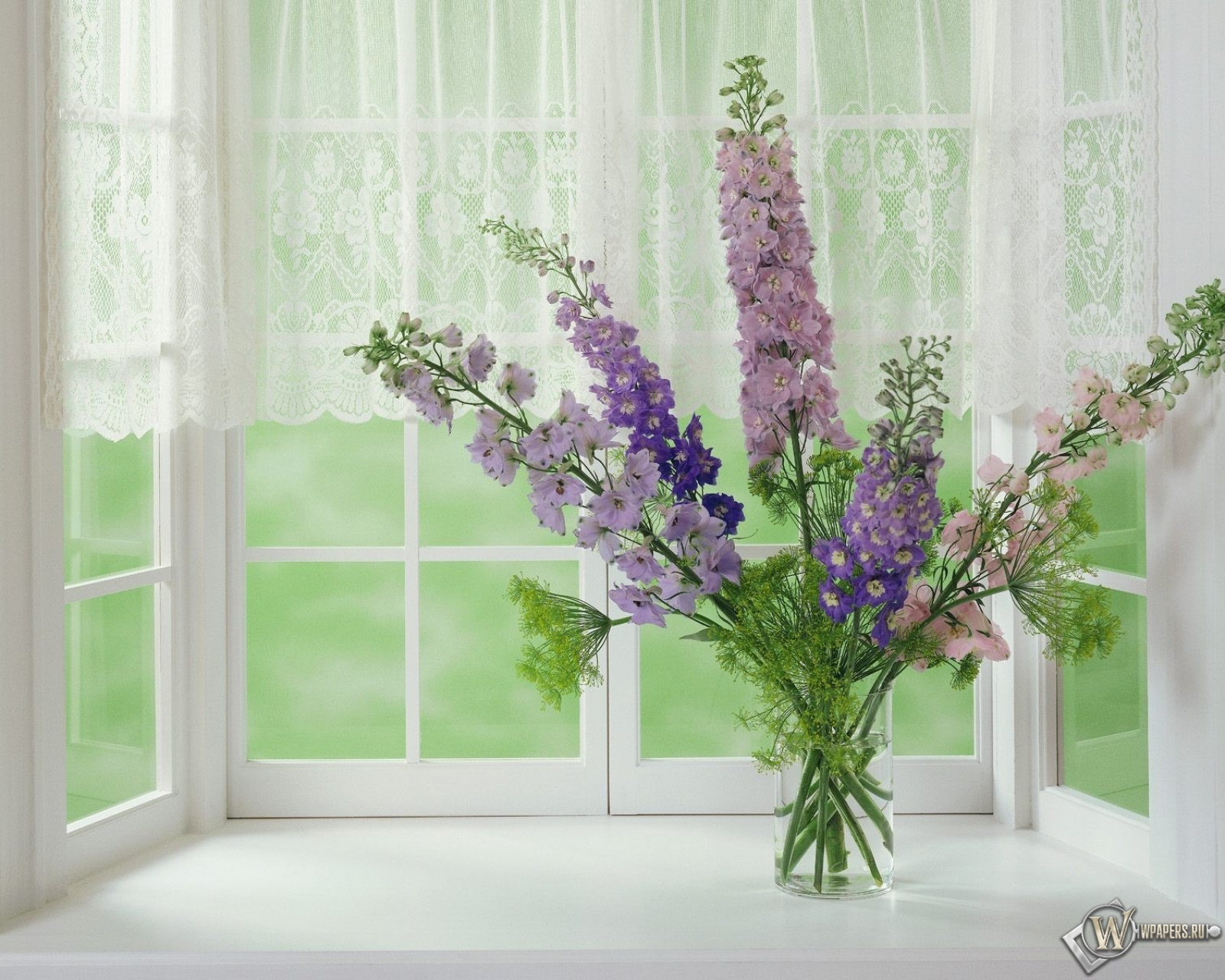 цветы на окне 1600x1280