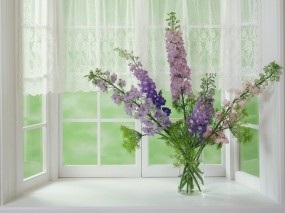 Обои цветы на окне: Окно, Букет, Ваза, Цветы