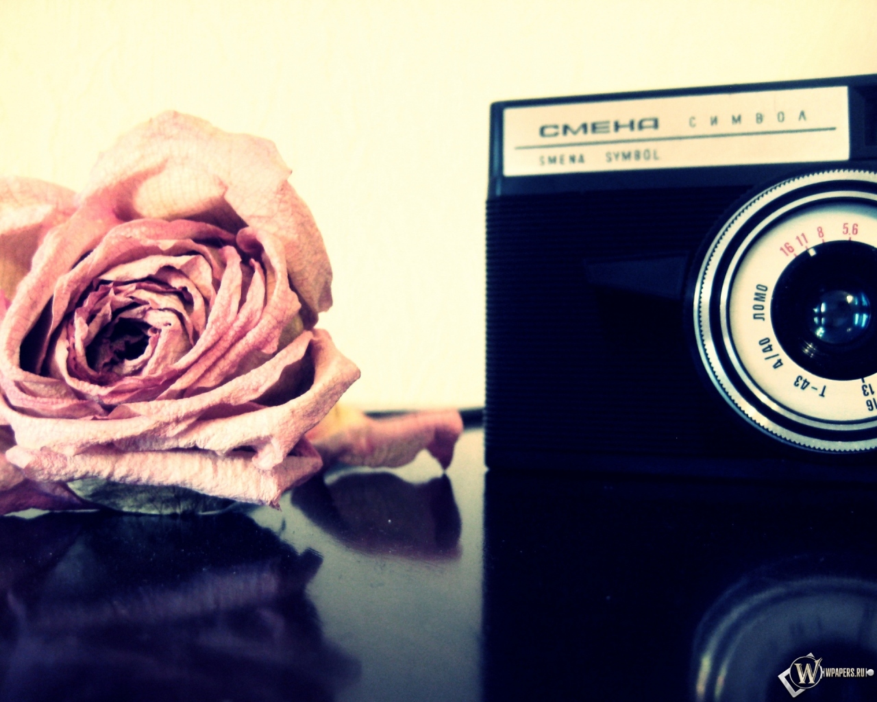 Роза и фотоаппарат 1280x1024