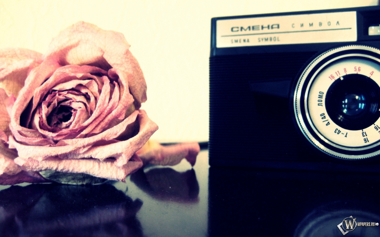 Роза и фотоаппарат 1280x800