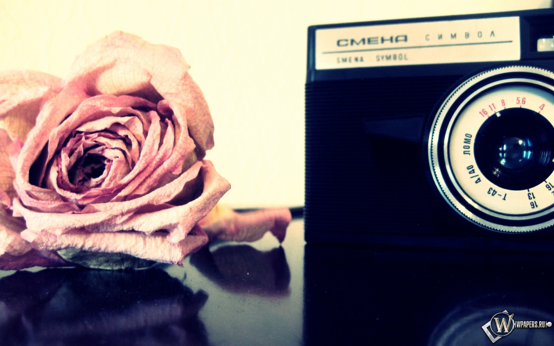 Роза и фотоаппарат 1920x1200