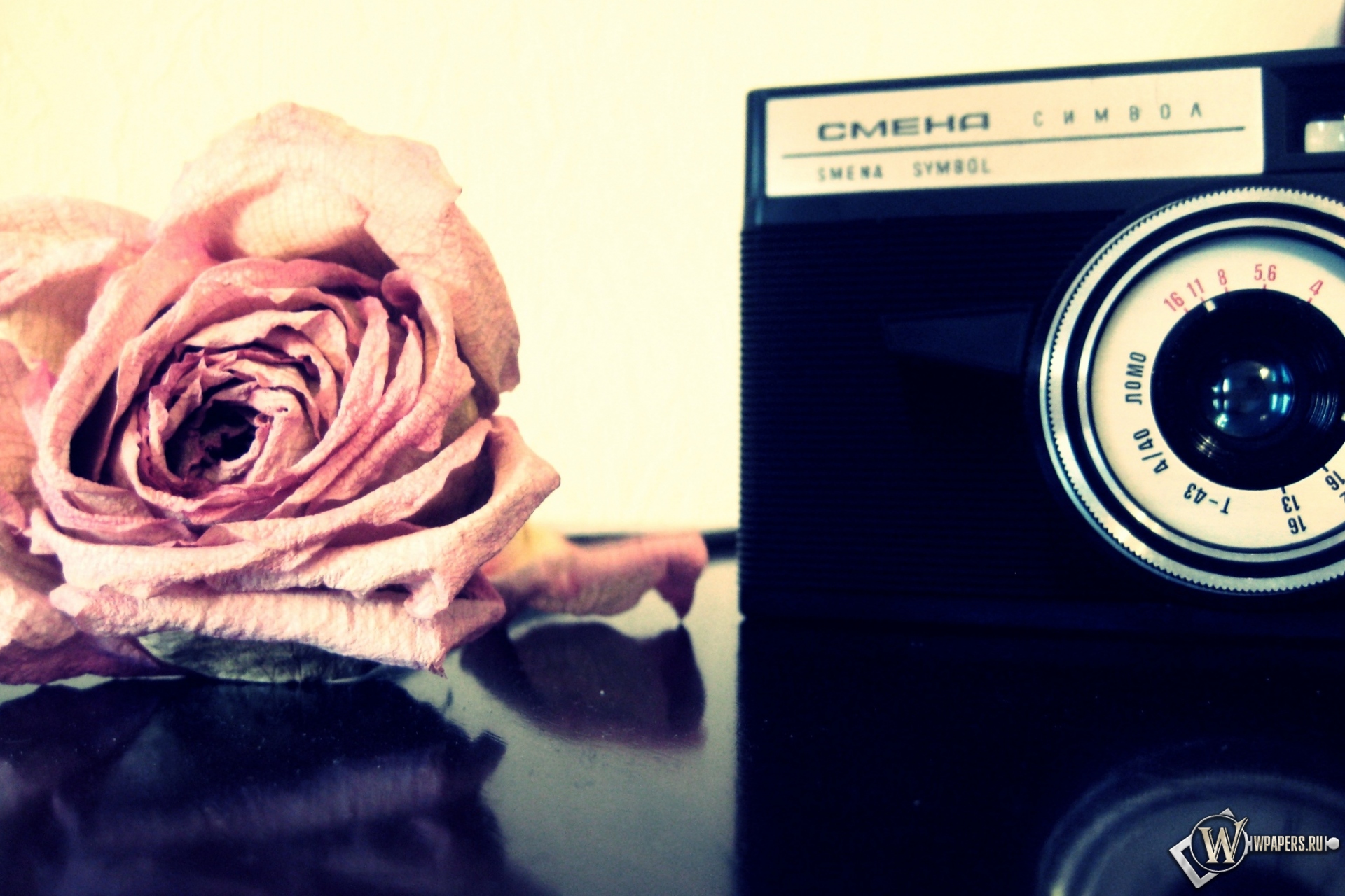 Роза и фотоаппарат 1920x1280