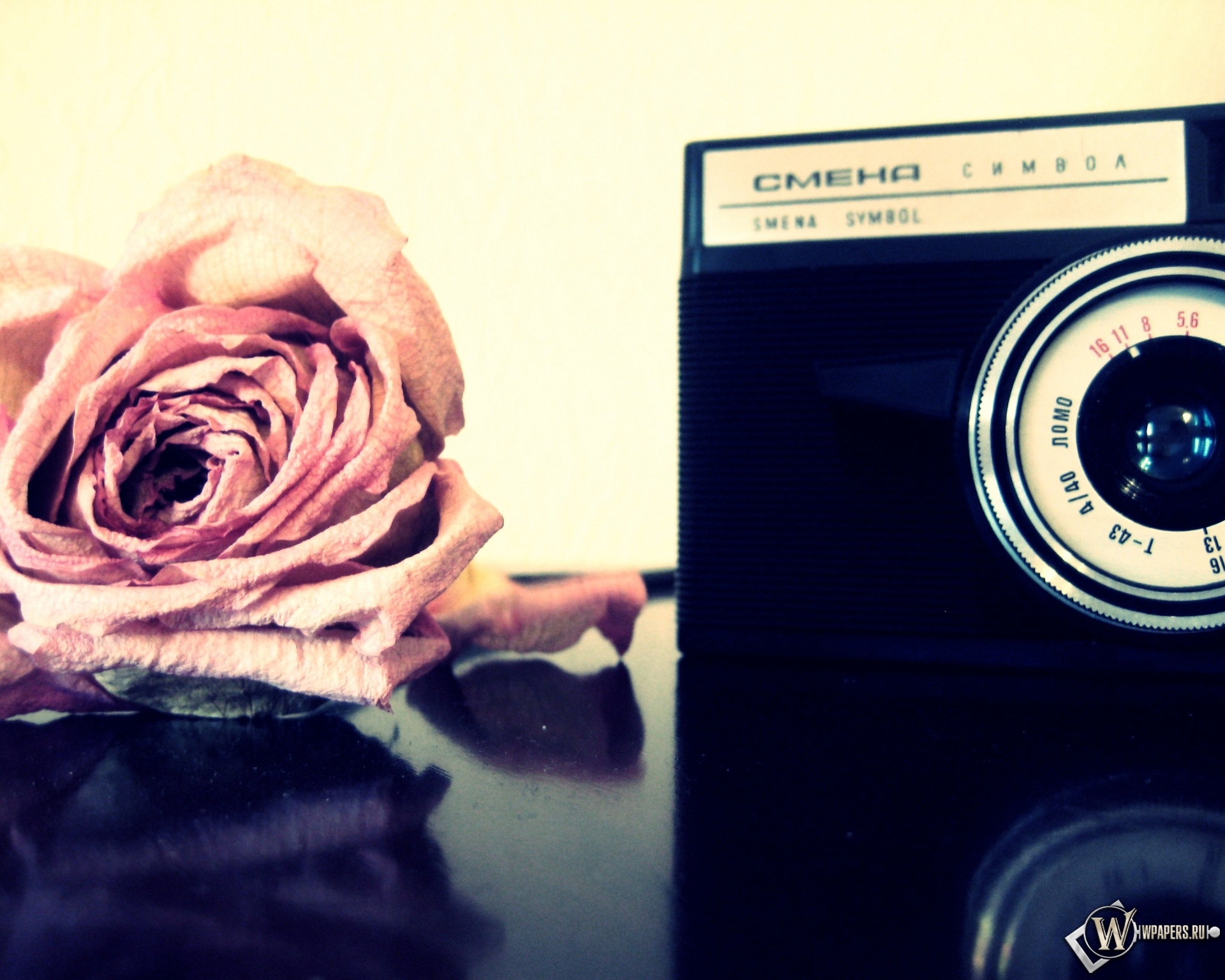 Роза и фотоаппарат 1920x1536