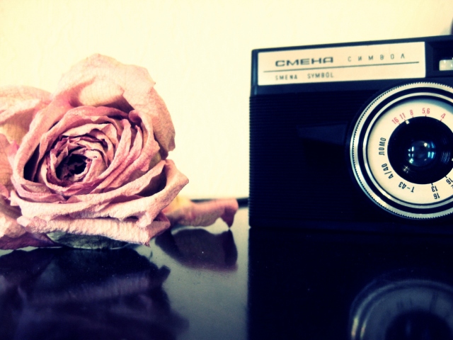 Роза и фотоаппарат
