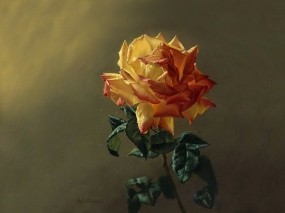 Обои Чайная роза: Зелень, Роза, Цветок, Лепестки, Листья, Живопись, Цветы