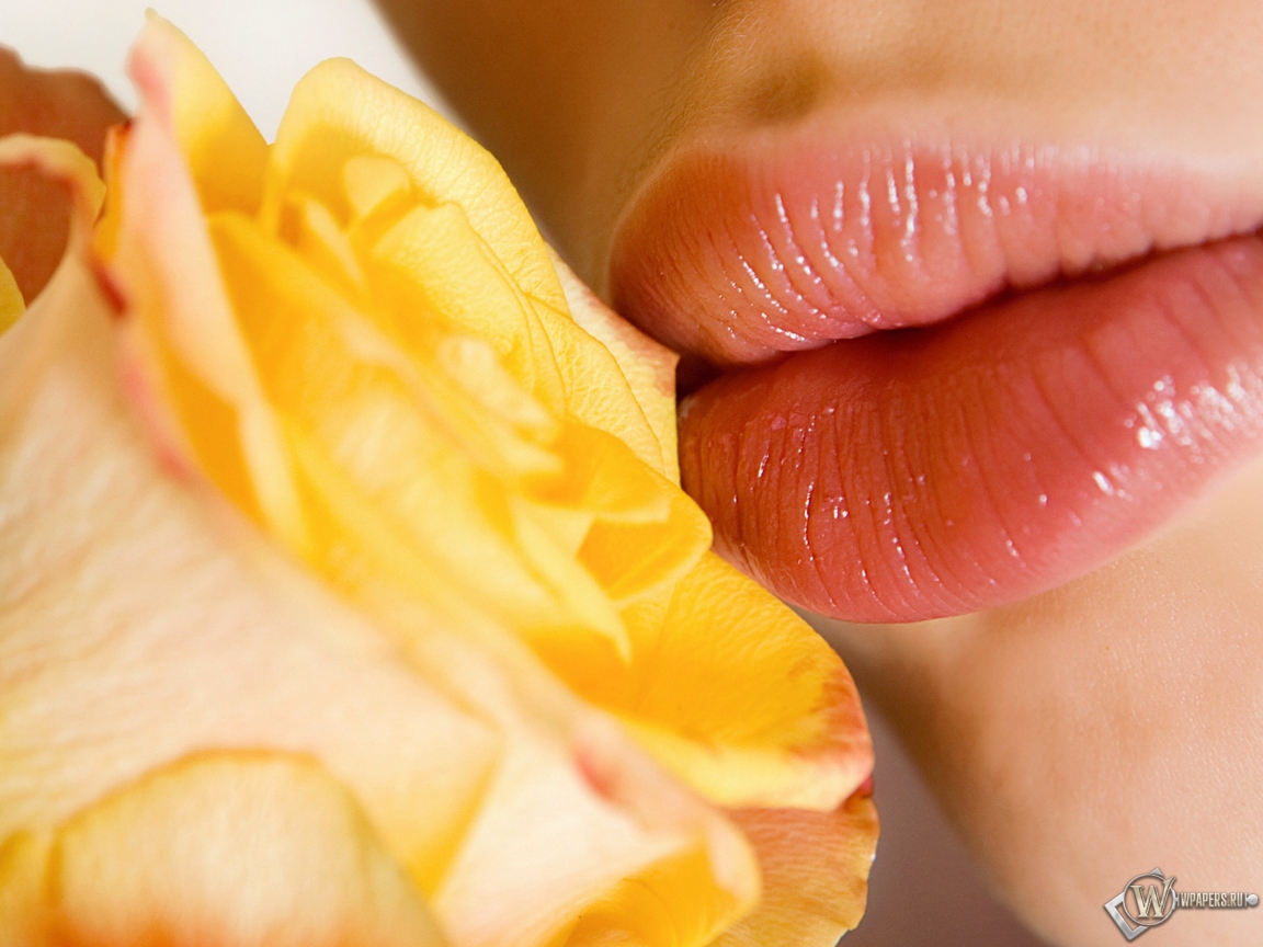 Розы и губы 1152x864