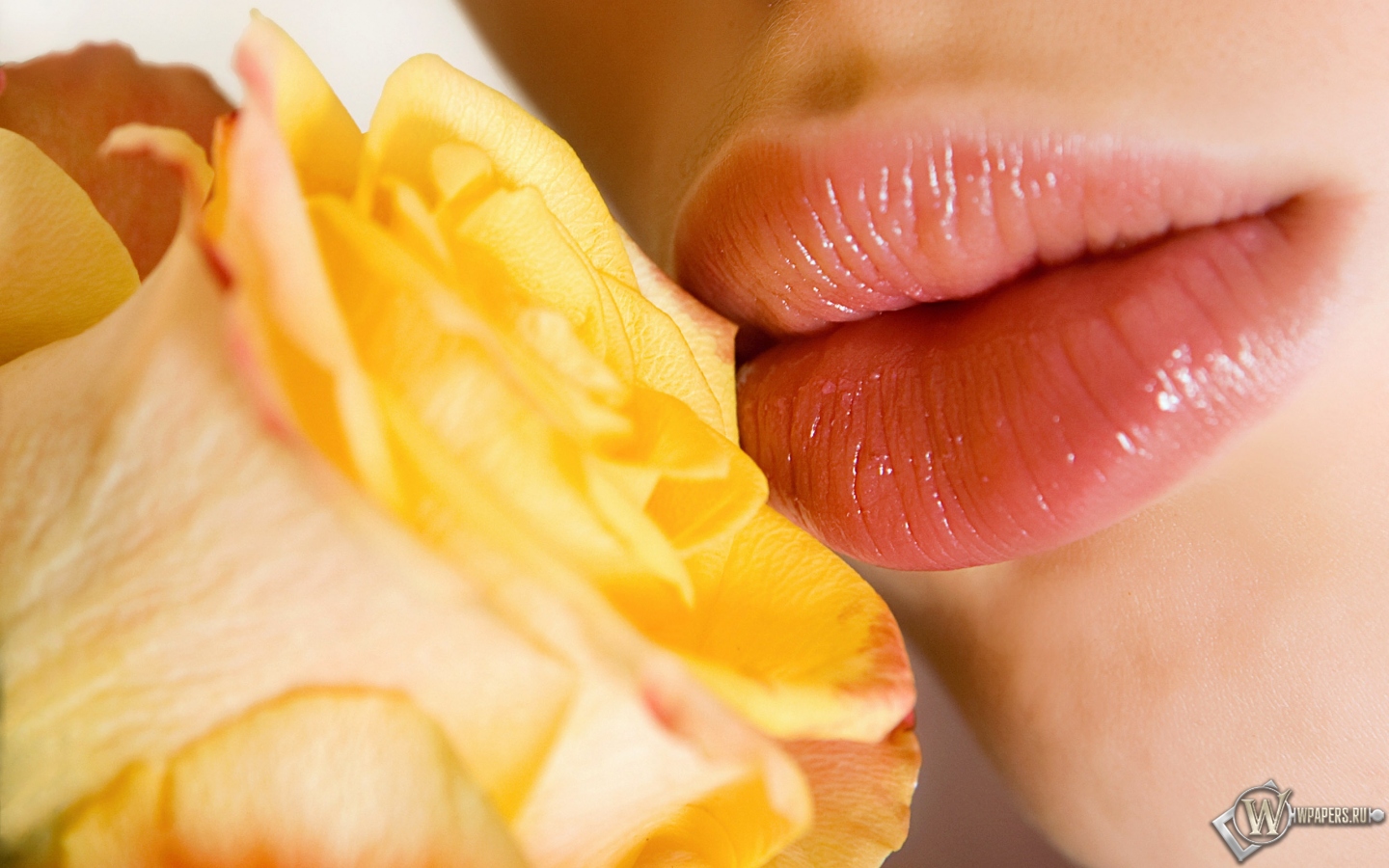 Розы и губы 1440x900