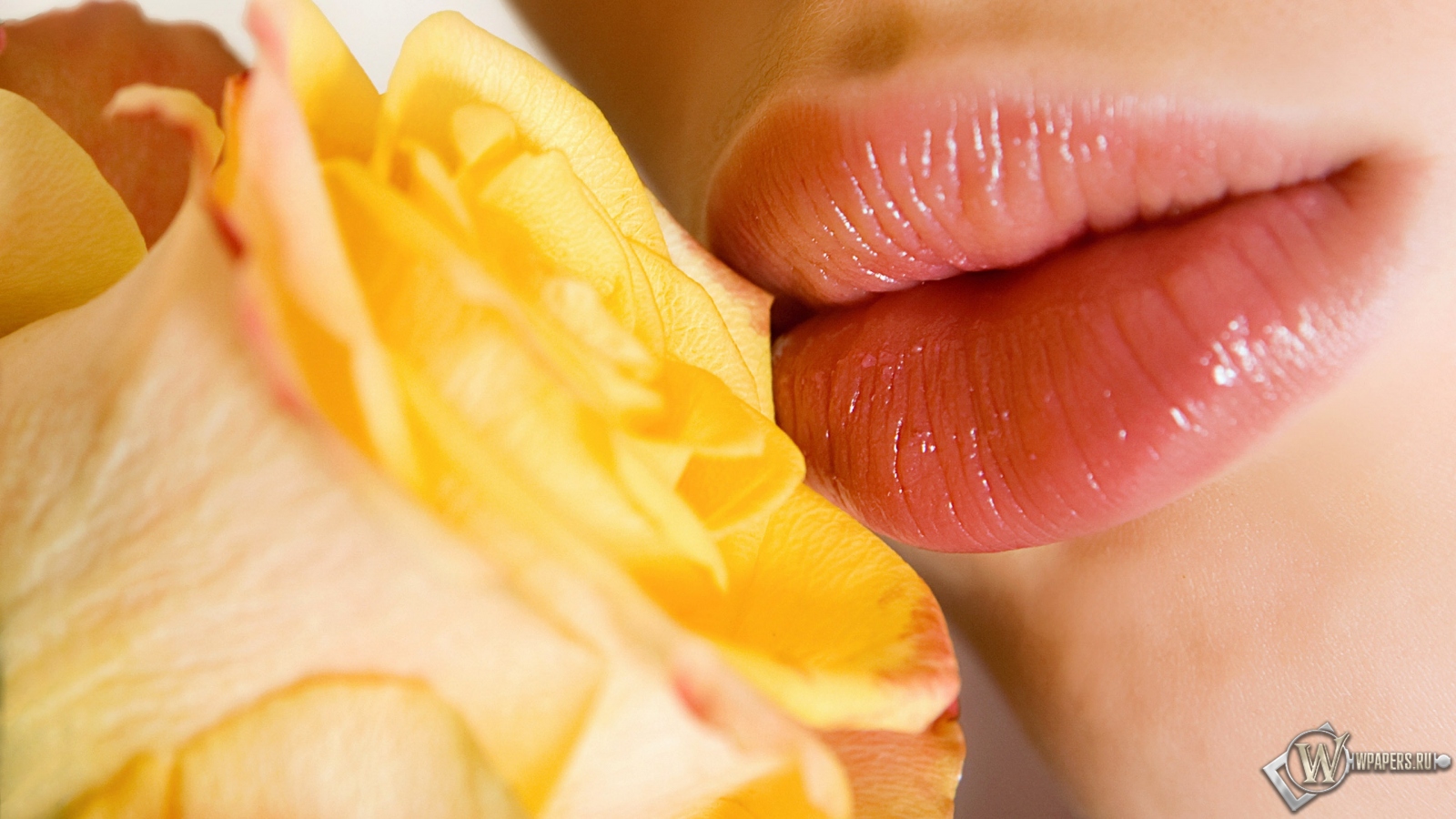 Розы и губы 1600x900