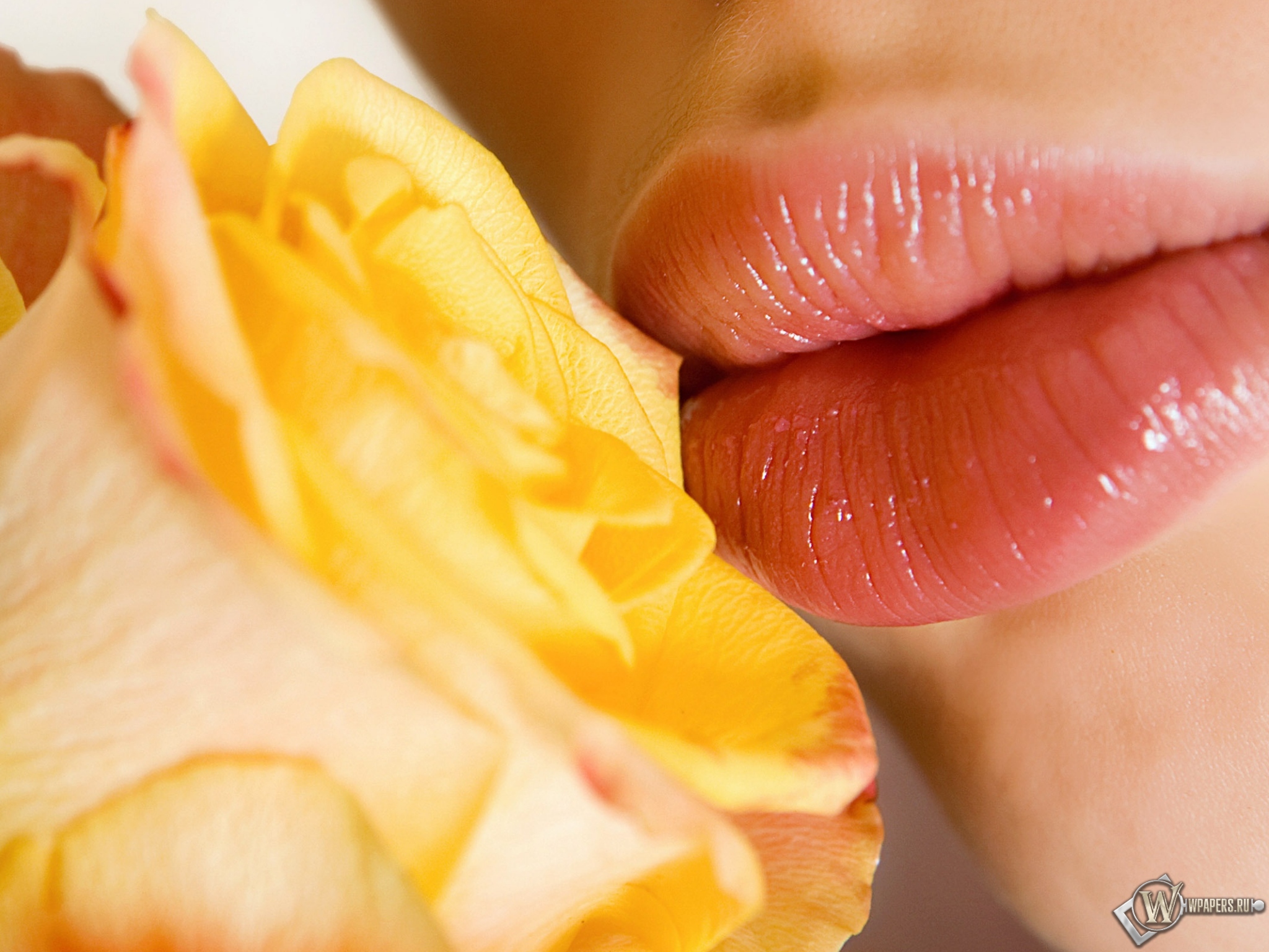 Розы и губы 2048x1536
