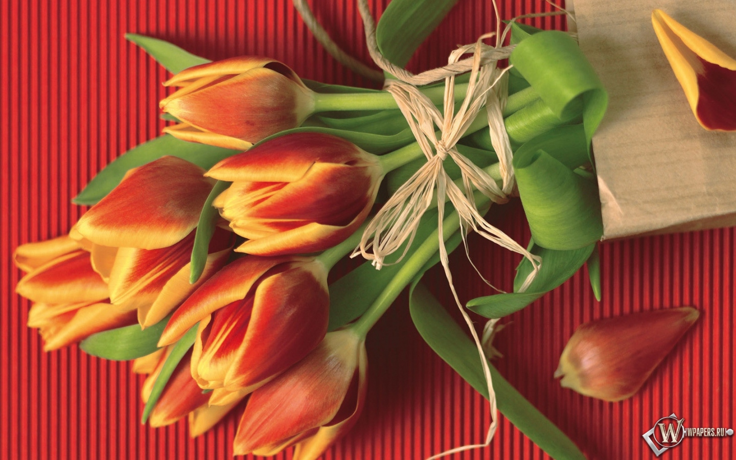 Букет тюльпанов 1440x900