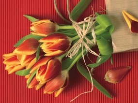 Обои Букет тюльпанов: Тюльпаны, Букет, Цветы