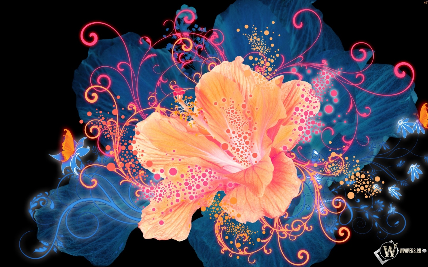 Светящийся цветок 1440x900