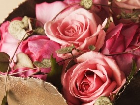 Обои Розы: Розы, Букет, Цветы