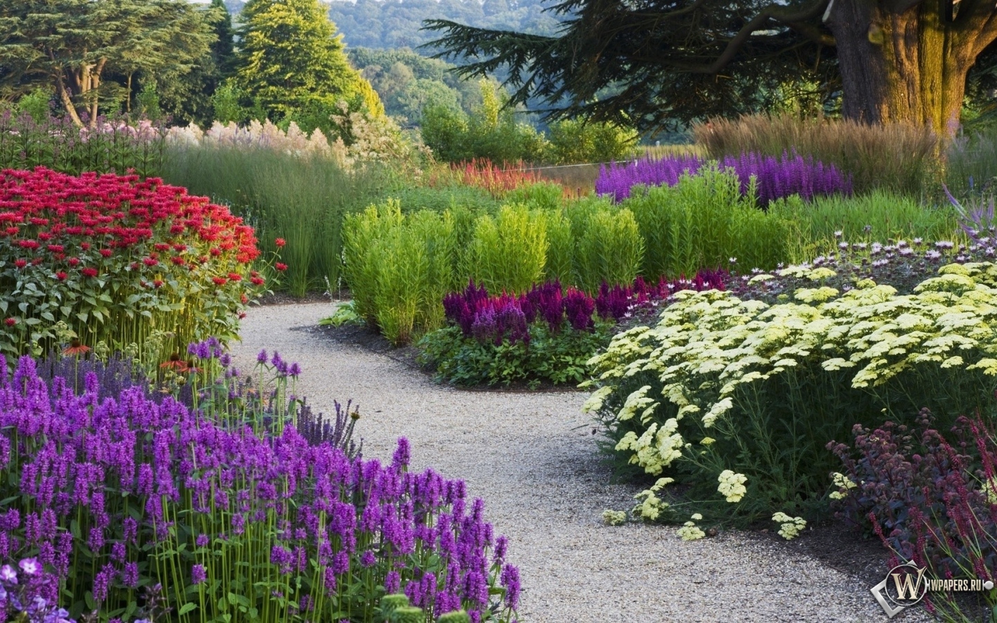 Цветочный сад 1440x900