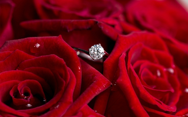 Кольцо с бриллиантом среди роз