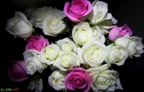 Обои Букет Роз: Цветы, Розы, Букет, Rose, Цветы