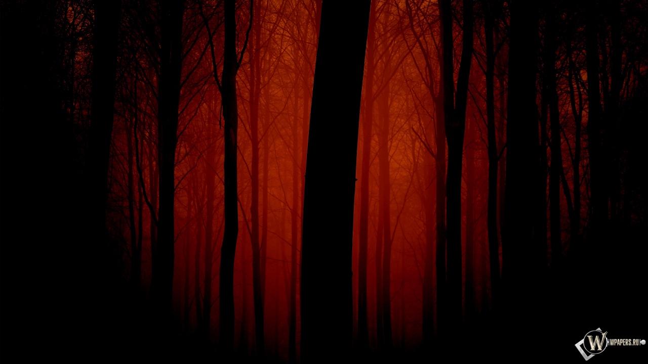 Мрачный лес 1280x720