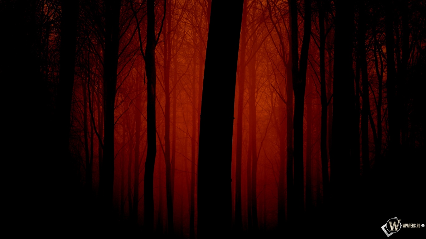 Мрачный лес 1366x768