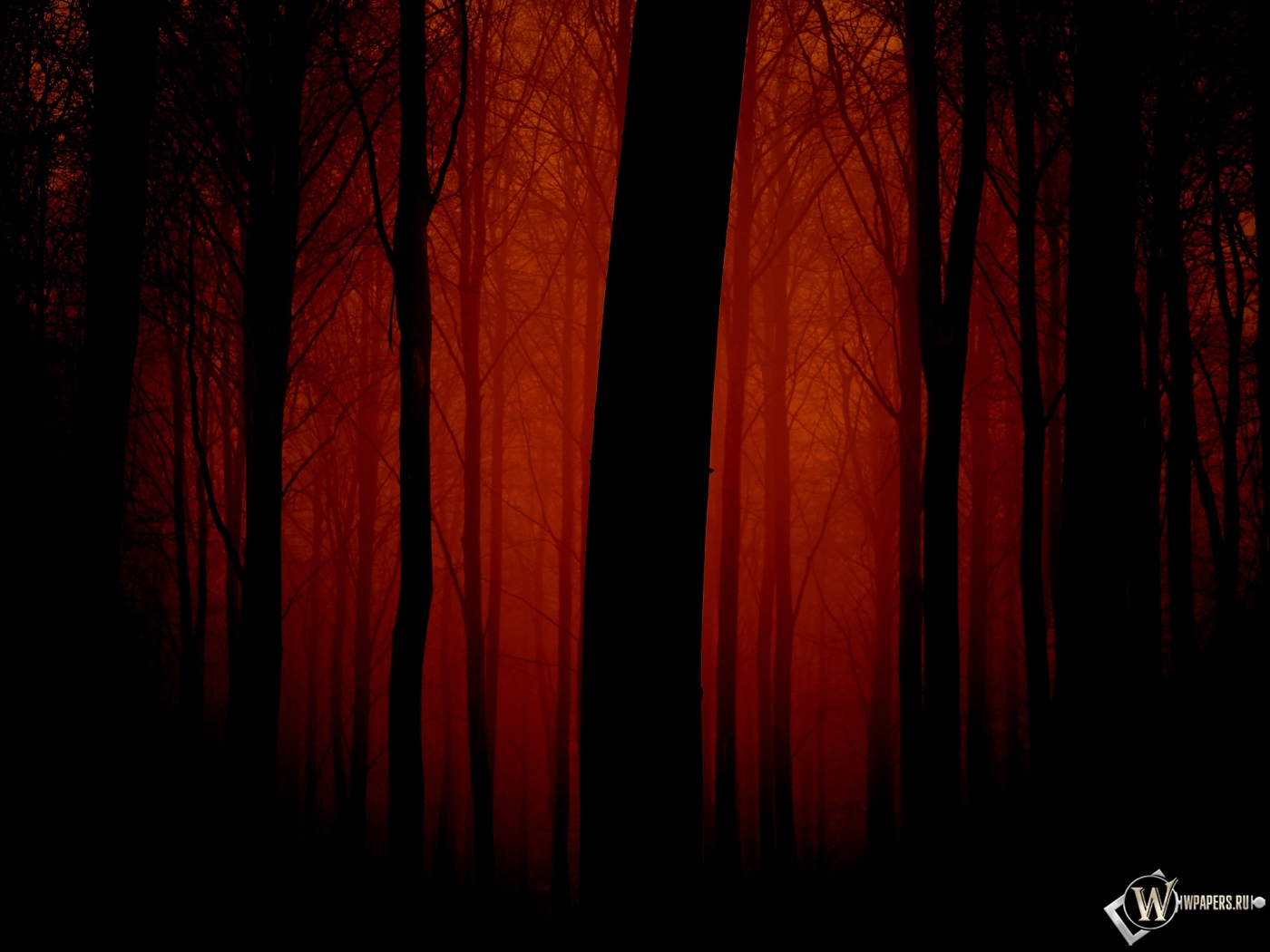 Мрачный лес 1400x1050