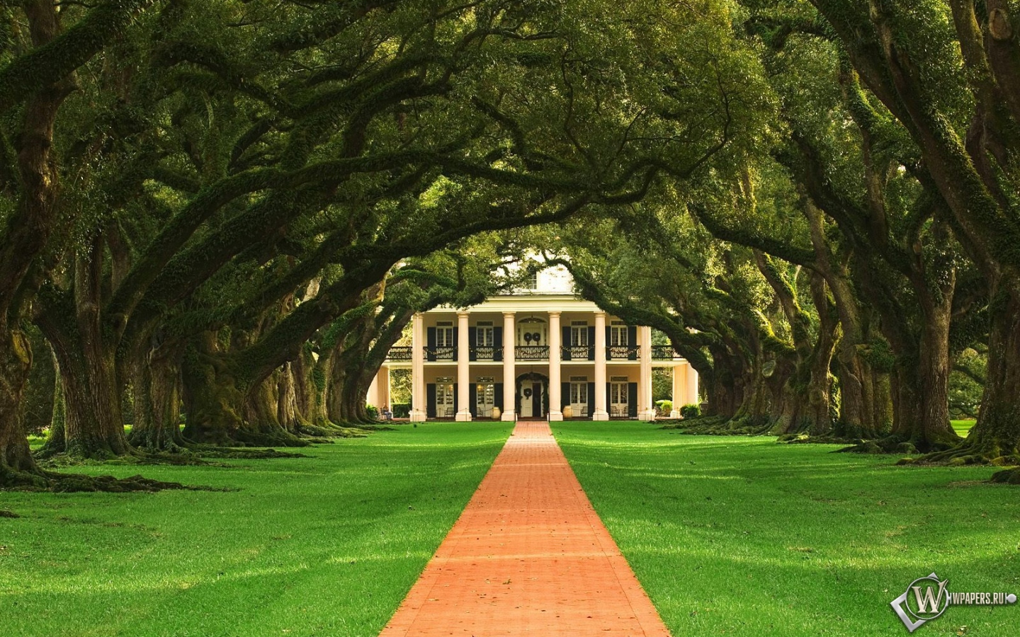 Дубовая аллея в Луизиане 1440x900