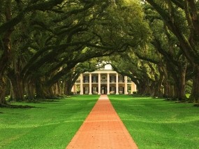Обои Дубовая аллея в Луизиане: Деревья, Дом, Деревья