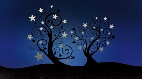 Обои Деревья со звёздами: Деревья, Ночь, Звёзды, Деревья