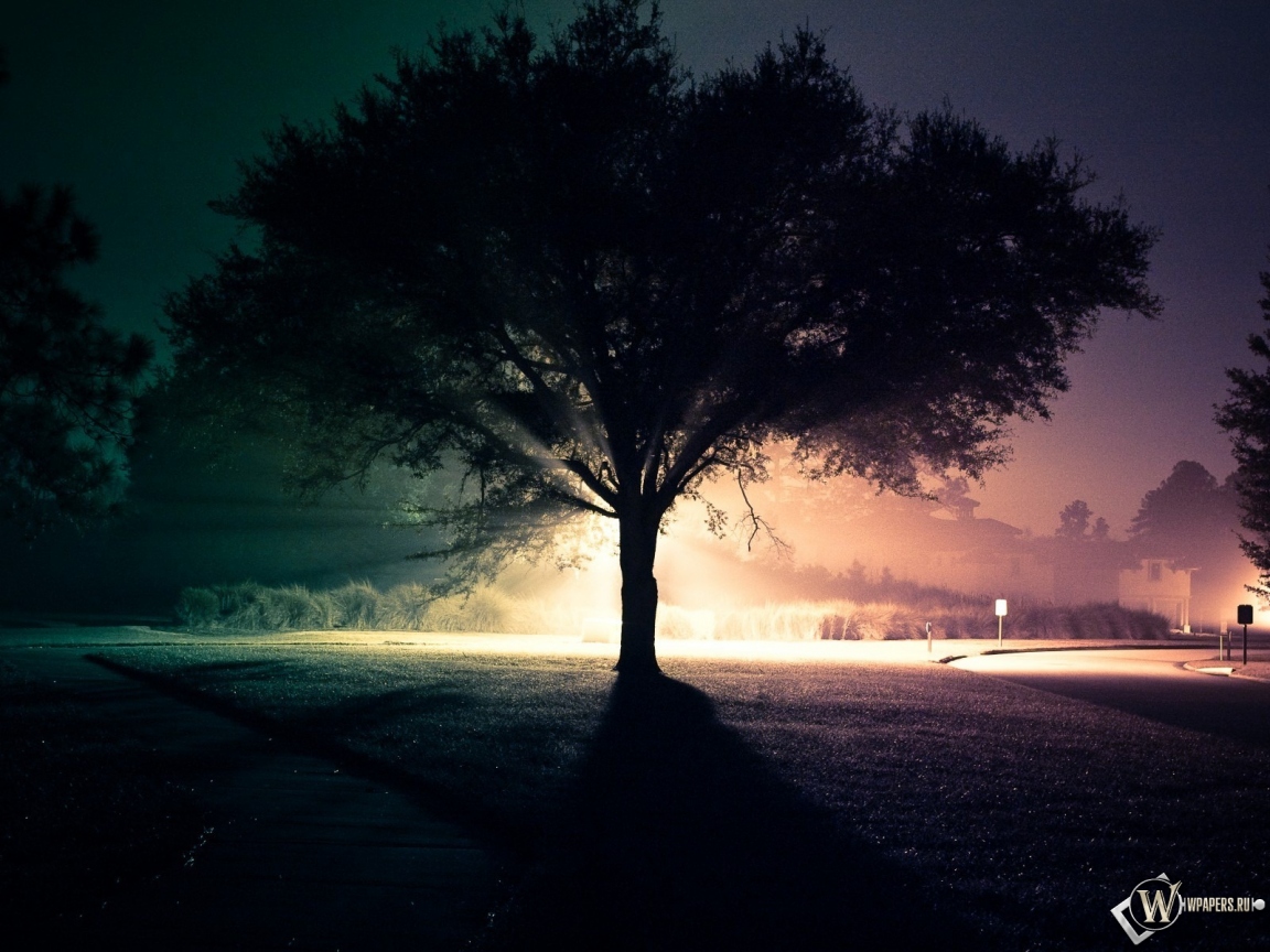 Ночное дерево 1152x864