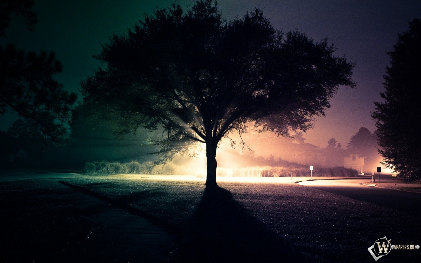 Ночное дерево 1440x900