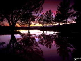Обои Ночной пейзаж: Отражение, Вода, Деревья, Ночь, Закат, Деревья