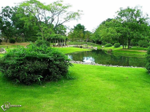 Зеленый парк