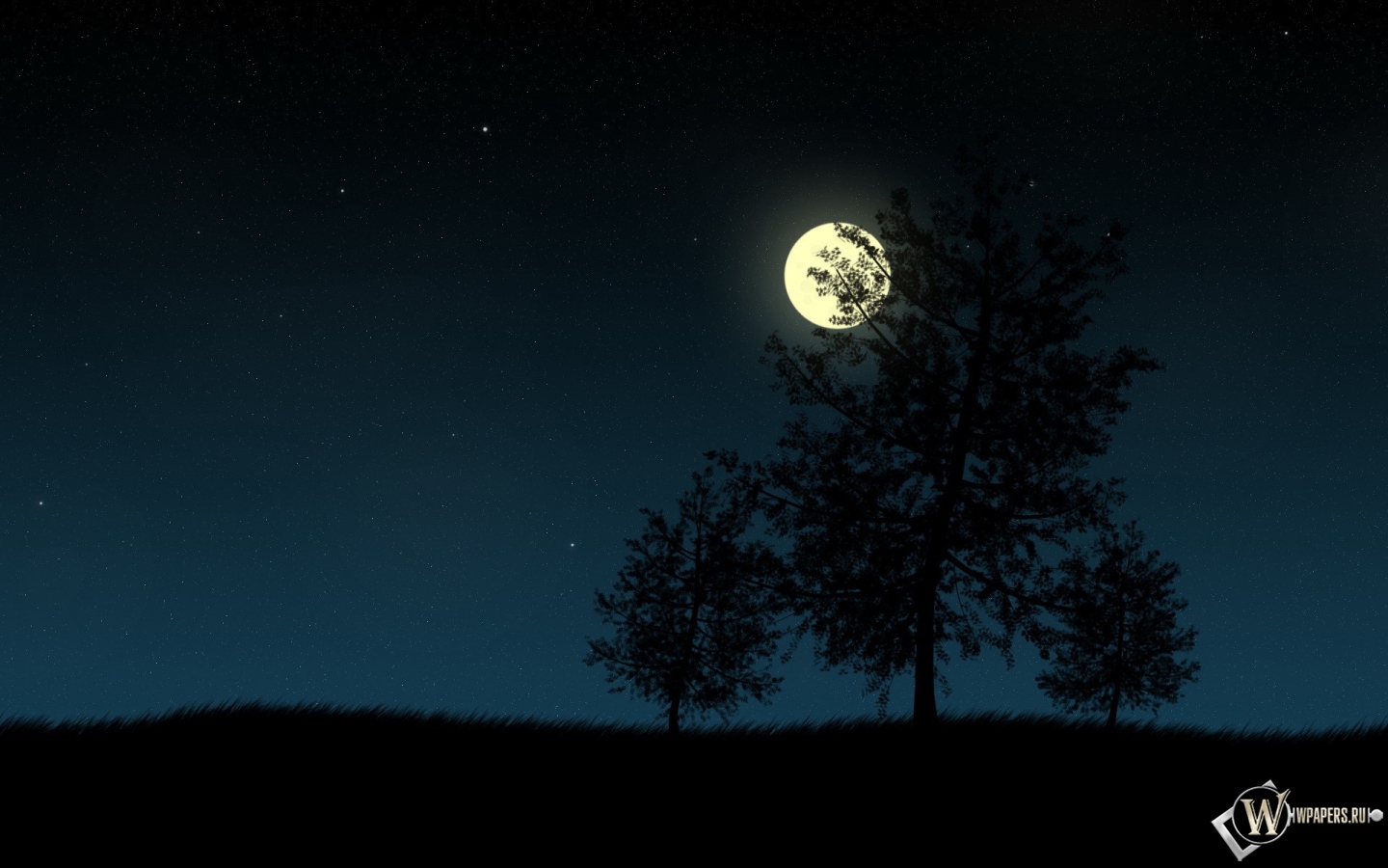 Деревья в ночи 1440x900
