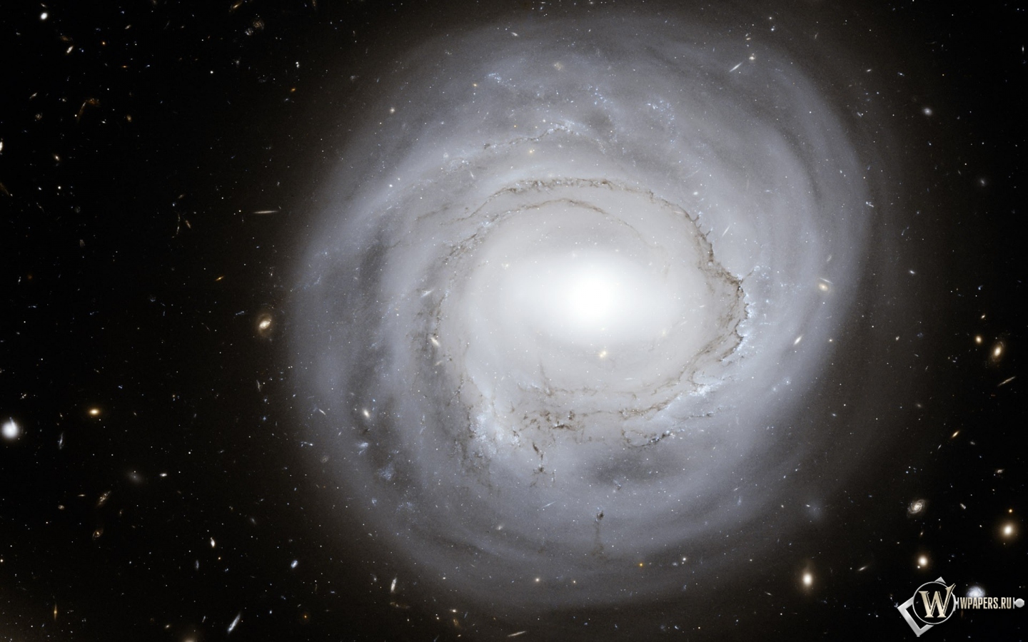Круглая галактика 1440x900