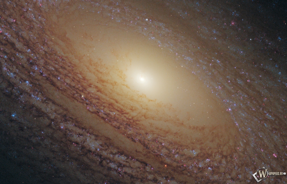 Спиральная галактика NGC 2841 1200x768