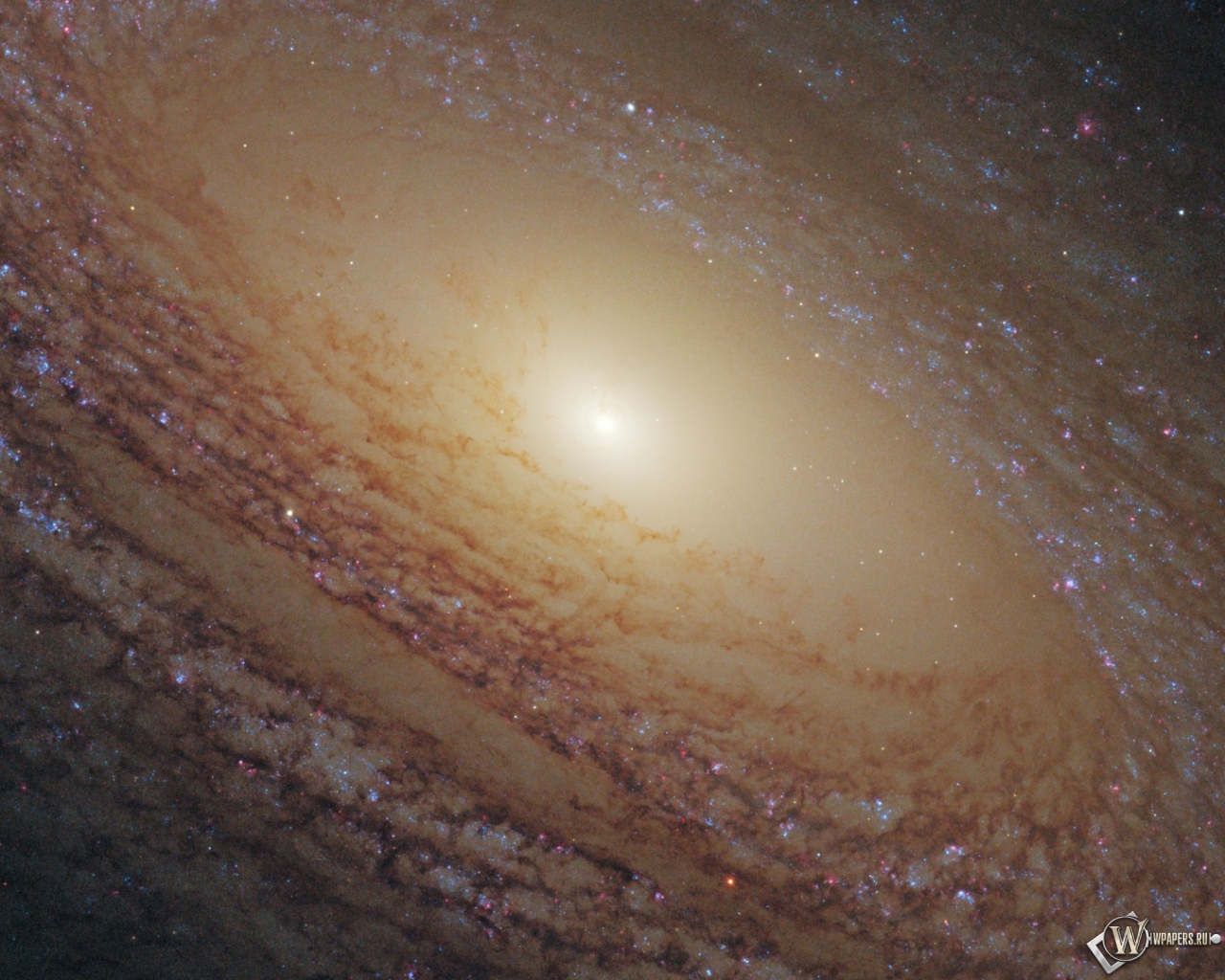 Спиральная галактика NGC 2841 1280x1024
