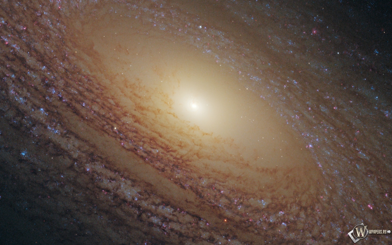 Спиральная галактика NGC 2841 1280x800