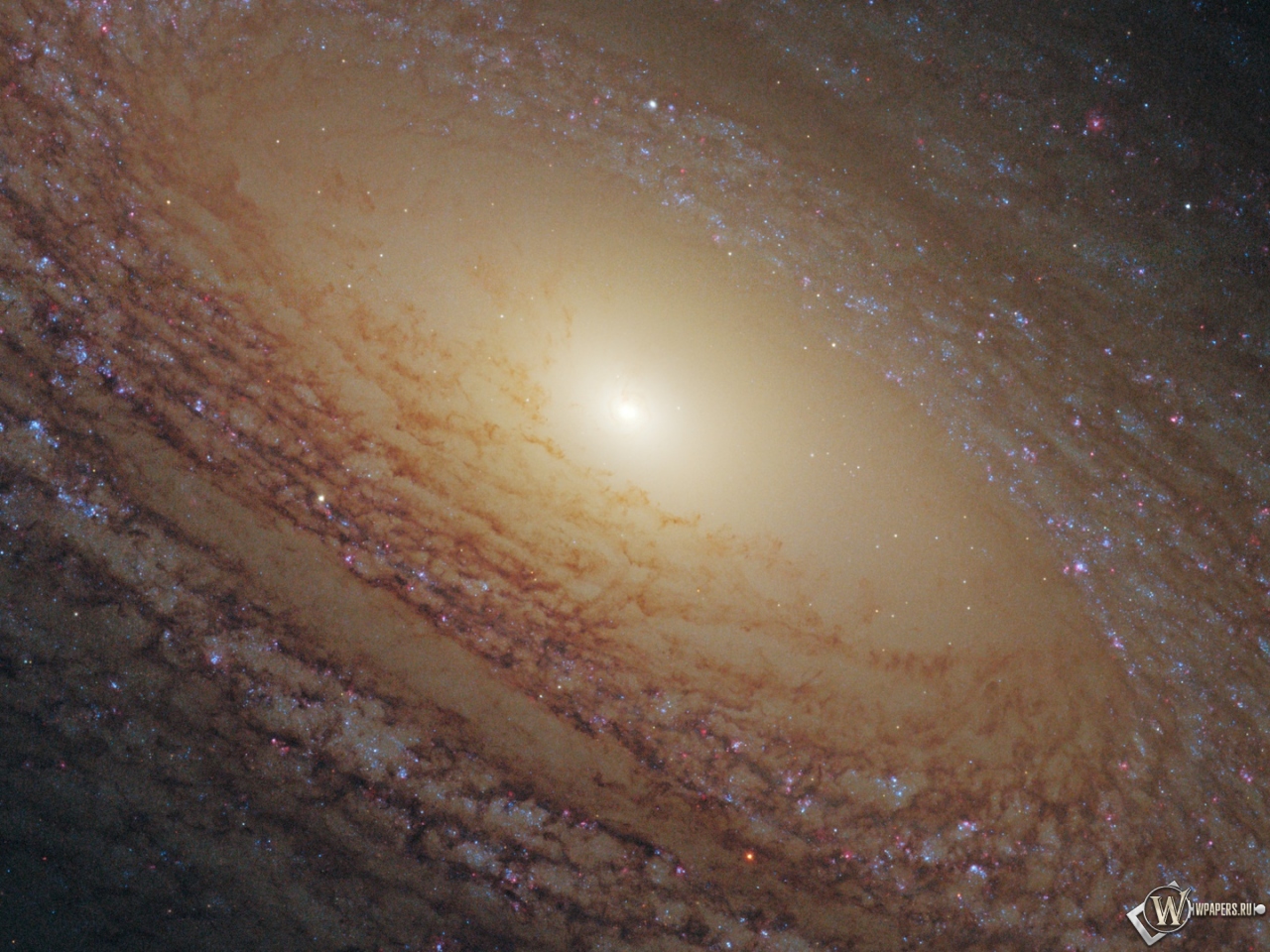 Спиральная галактика NGC 2841 1280x960