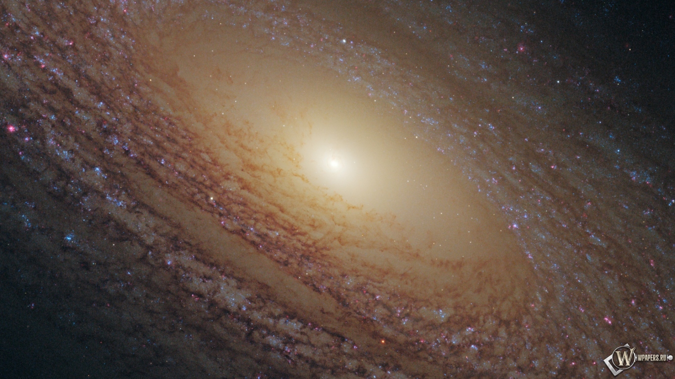 Спиральная галактика NGC 2841 1366x768