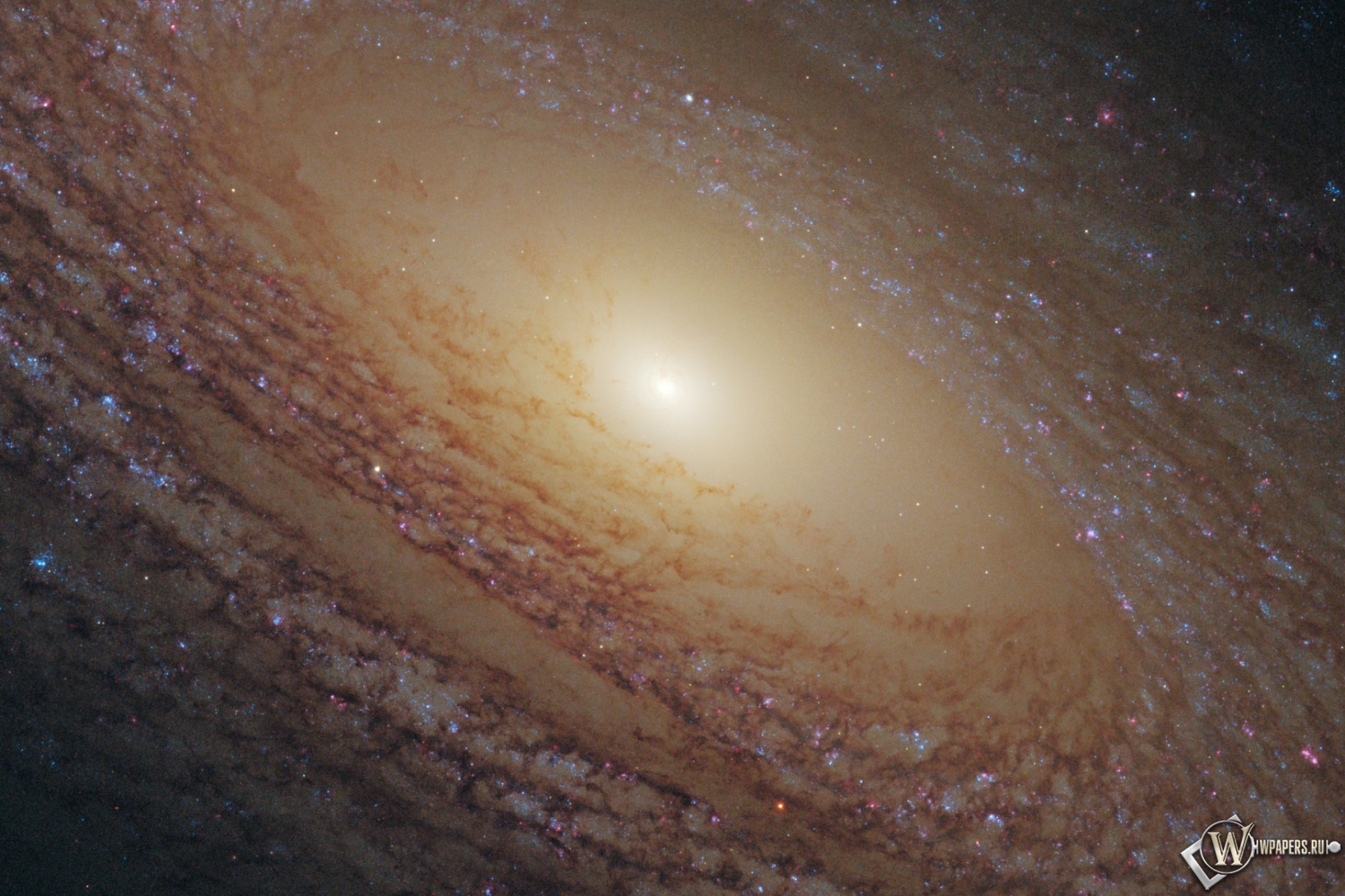 Спиральная галактика NGC 2841 1500x1000