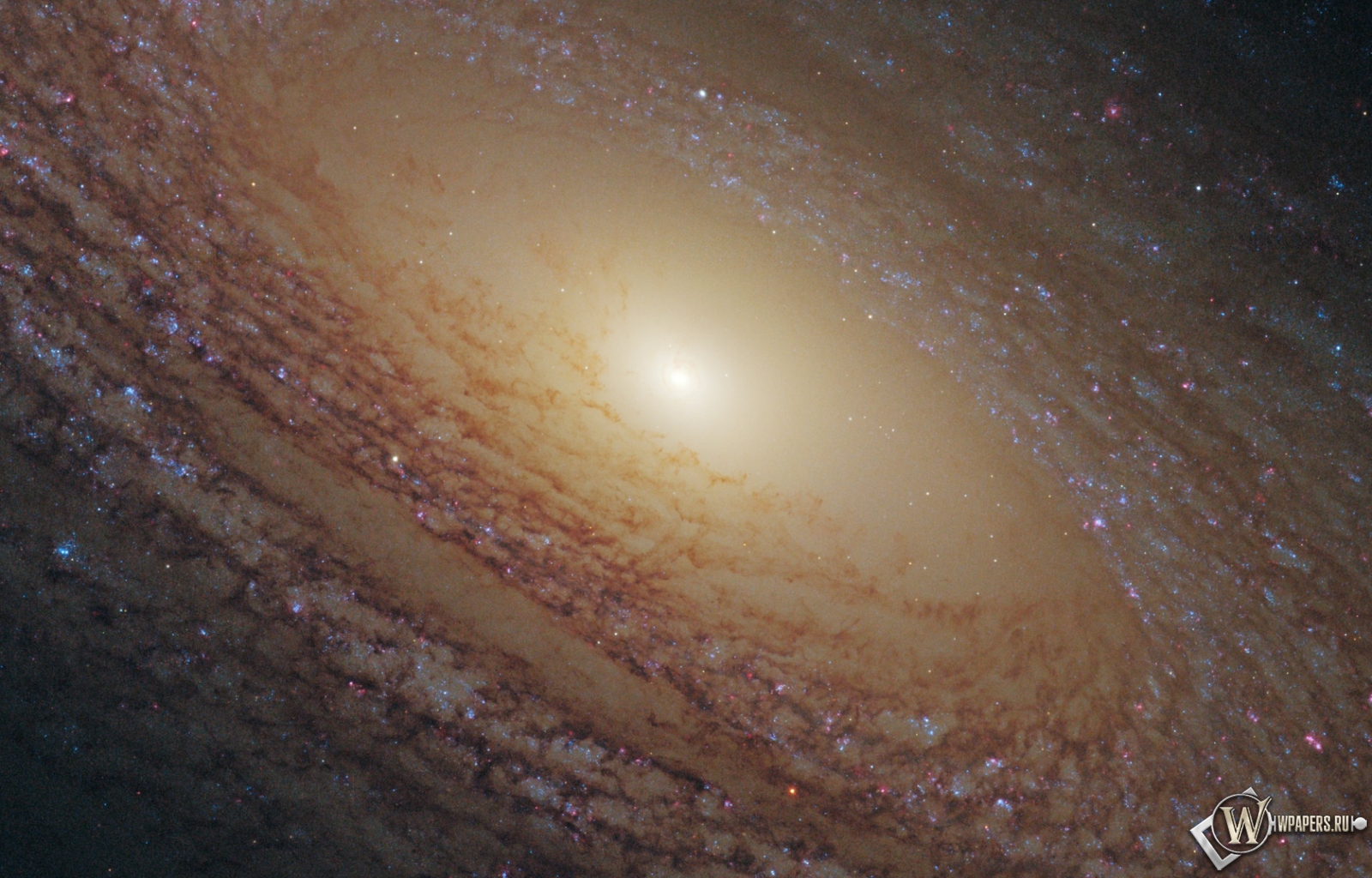 Спиральная галактика NGC 2841 1600x1024