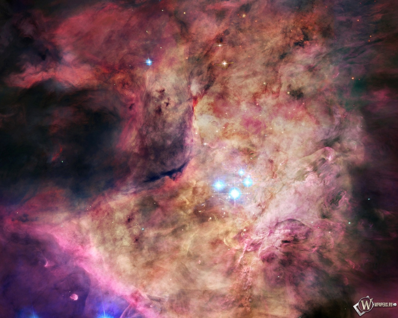 Созвездие Ориона 1280x1024