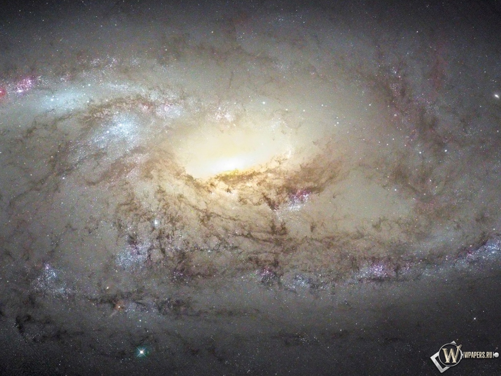 Галактика М 106 1024x768