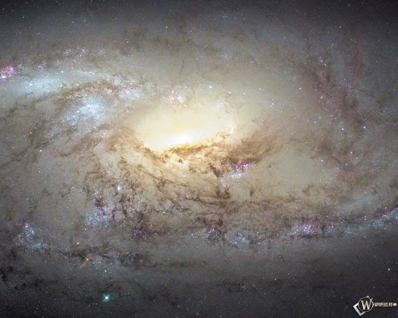 Галактика М 106 1280x1024