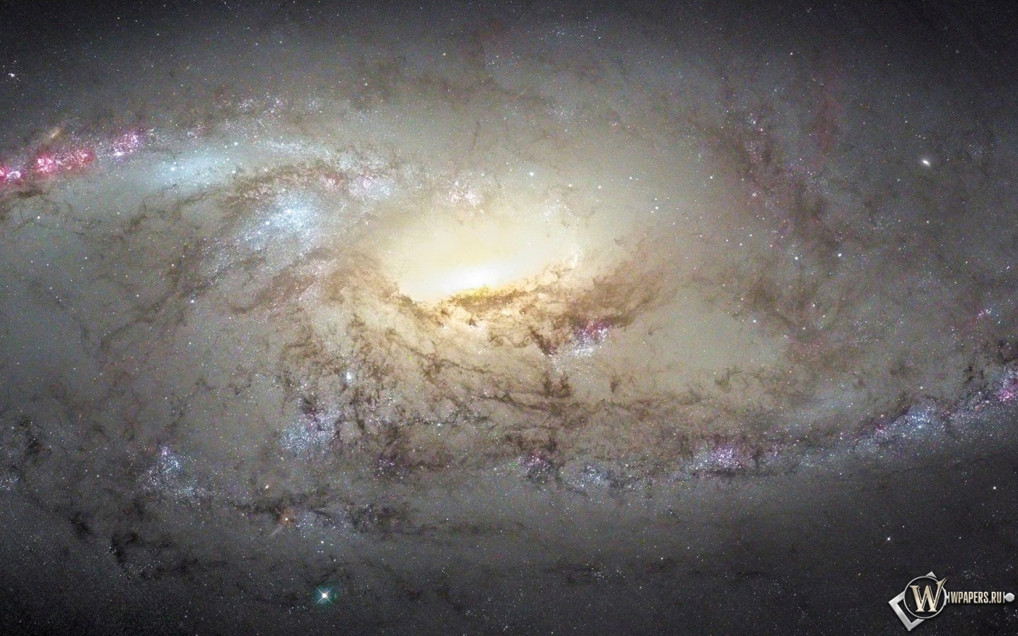 Галактика М 106 1440x900