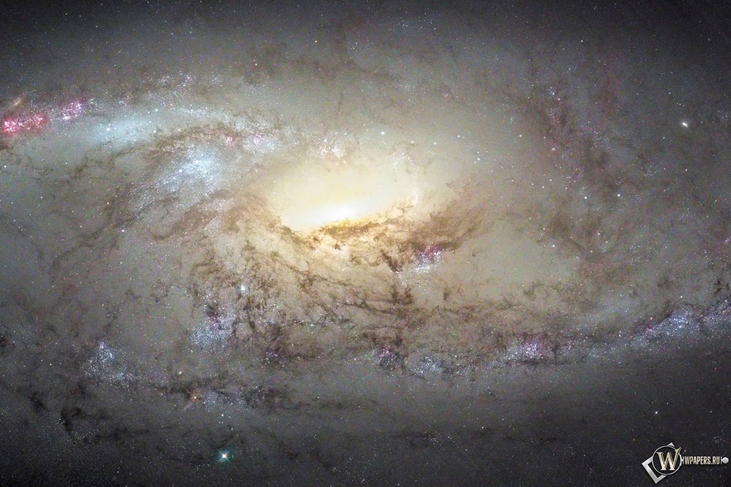 Галактика М 106 1500x1000