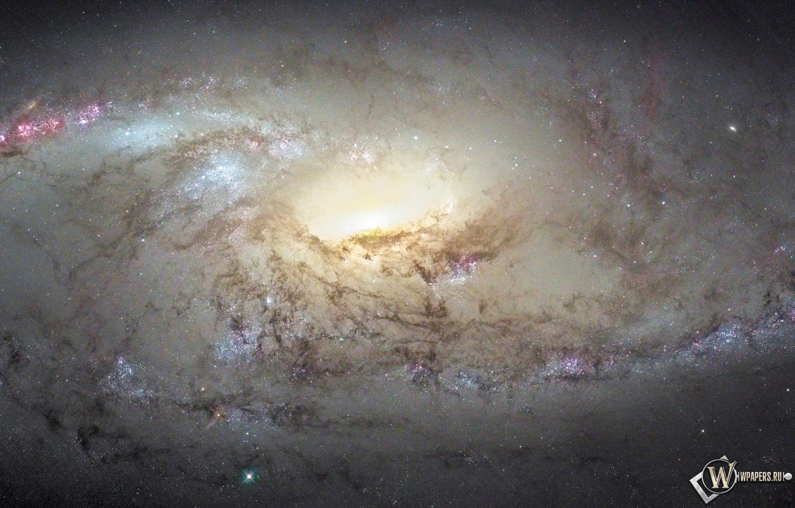 Галактика М 106 1600x1024