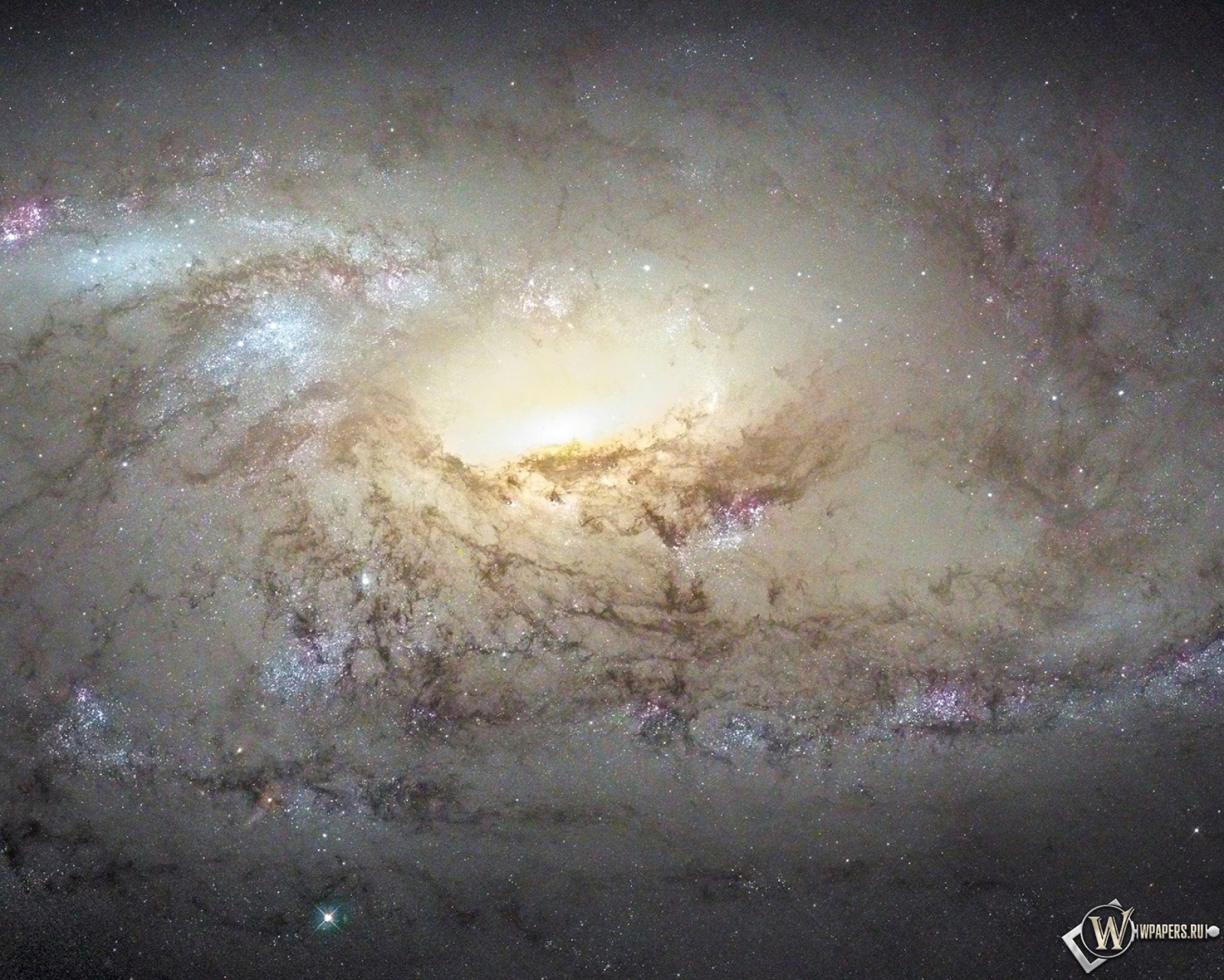 Галактика М 106 1600x1280