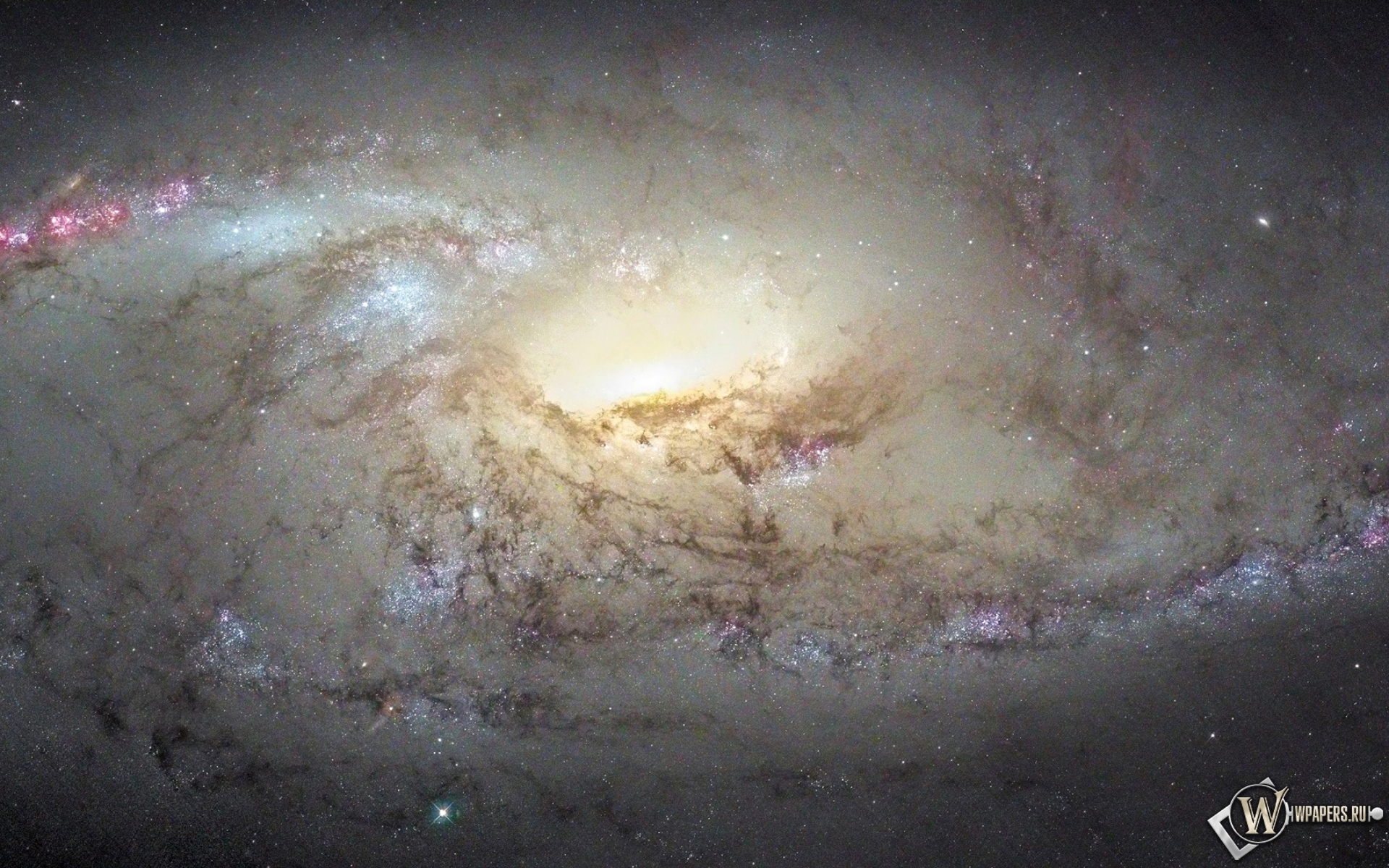Галактика М 106 1920x1200