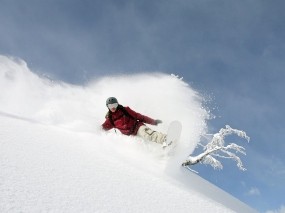 Обои Сноубординг: Зима, Горы, Снег, Дерево, Сноуборд, Спуск, Спорт